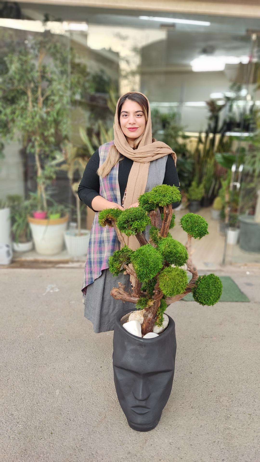 عکس گلفروشی تورج بنسای