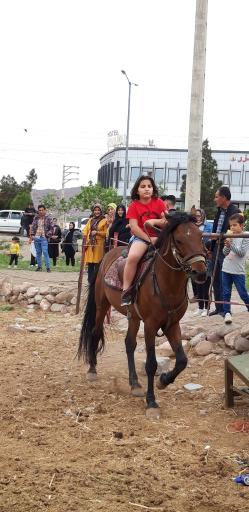 عکس رستوران کمپ عشایری ارس (اوبا)