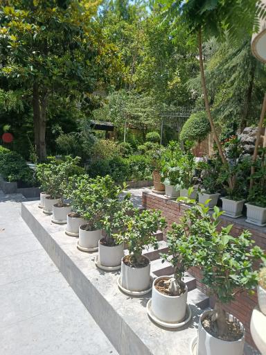 کافه دیدار