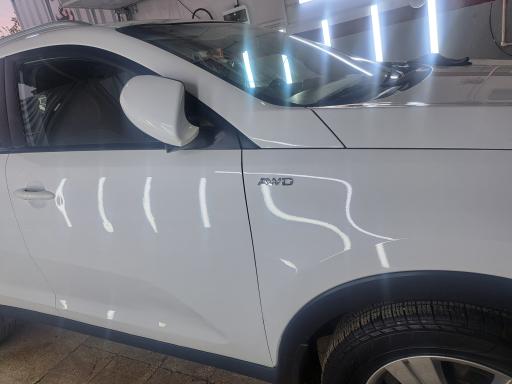 عکس تشخیص رنگ کارشناسی ممتاز باقری