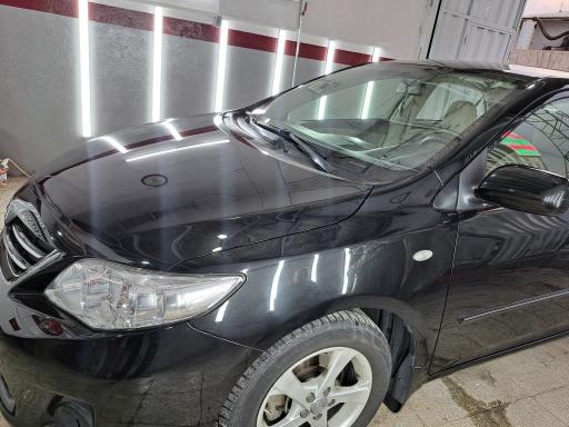 عکس تشخیص رنگ کارشناسی ممتاز باقری