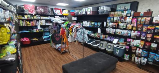 عکس کلینیک دامپزشکی آرمه