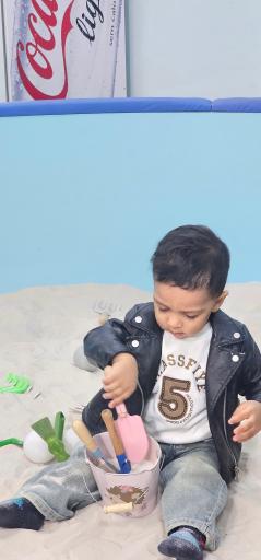 عکس خانه بازی و شهر مشاغل پالِت