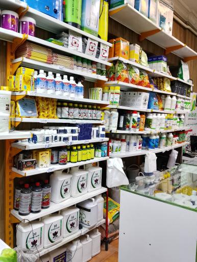 عکس داروخانه گیاهپزشکی ریحان سبز 