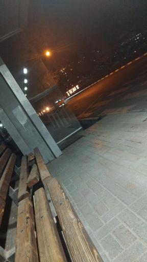 عکس  سجادیه 26