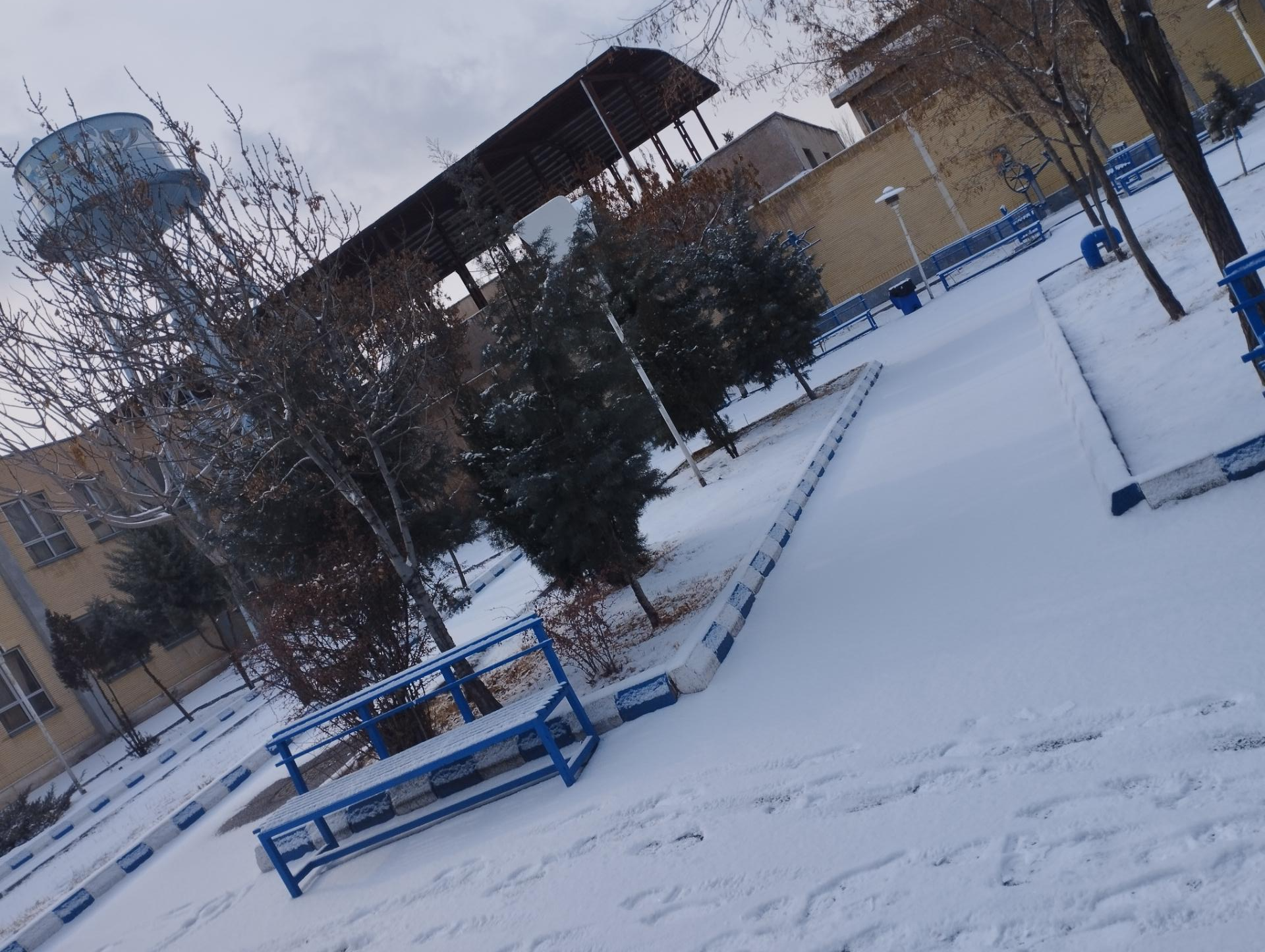 عکس دانشگاه الزهرا