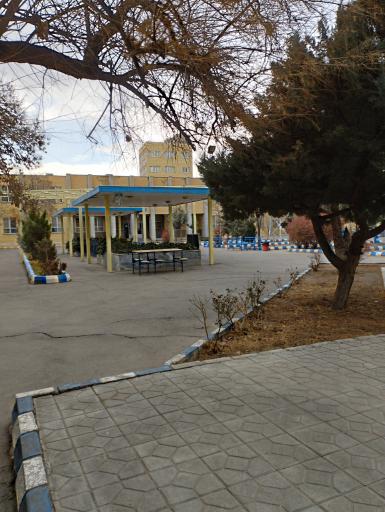 عکس دانشگاه الزهرا