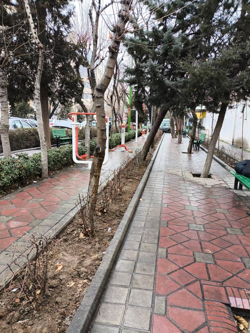 عکس بوستان نجم