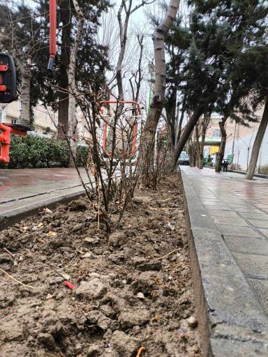 عکس بوستان نجم