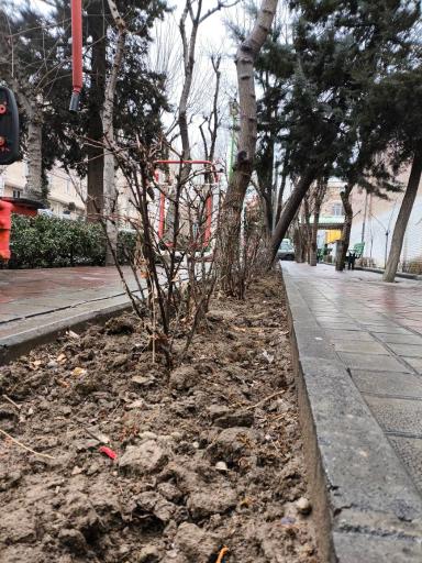 عکس بوستان نجم