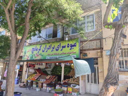 عکس میوه سرای برادران کرمانج