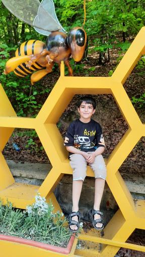 عکس شهربازی پارک ملت