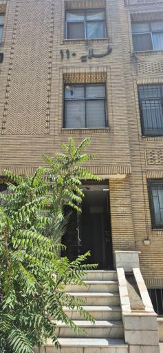 عکس لیدی شو