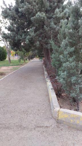 عکس بوستان صبا