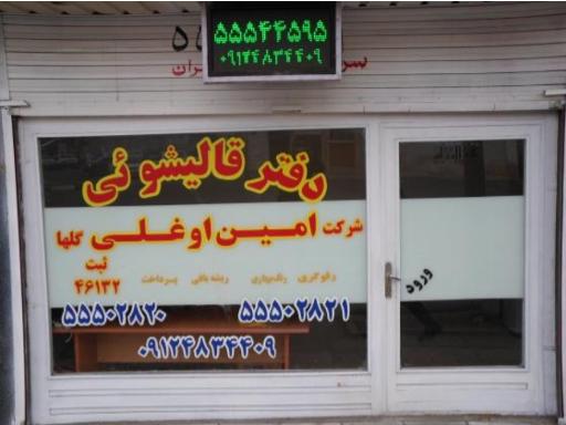 عکس قالیشویی امین اوغلی