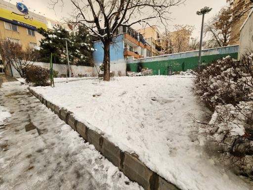 عکس بوستان بنفشه