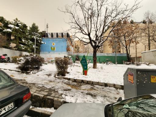 عکس بوستان بنفشه