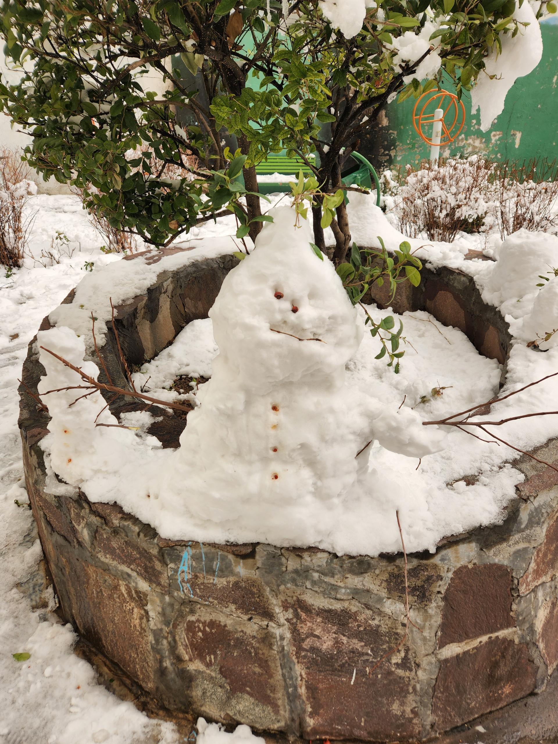 عکس بوستان بنفشه