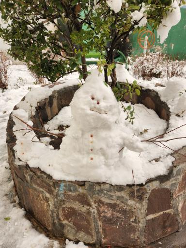 عکس بوستان بنفشه