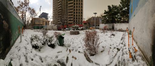 عکس بوستان بنفشه