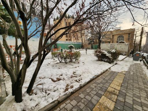 عکس بوستان بنفشه