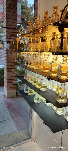 عکس گالری پریماه