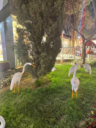 عکس بازار بعثت