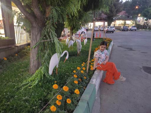 عکس بازار بعثت