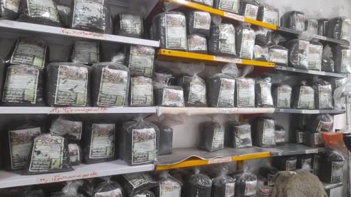 عکس چای بهاره لاهیجان