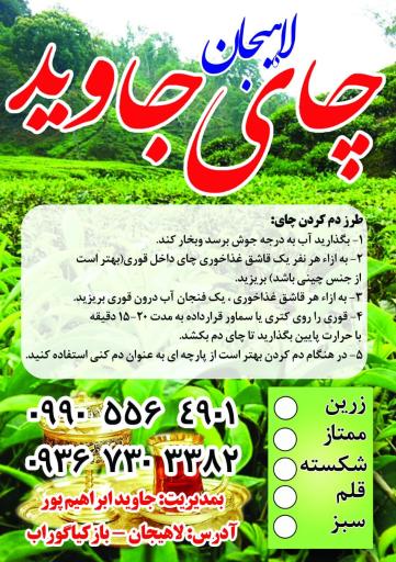 عکس چای بهاره لاهیجان