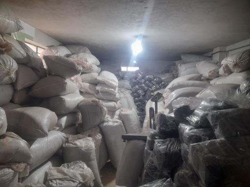 عکس چای بهاره لاهیجان