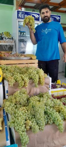 عکس هایپر میوه آمازون 