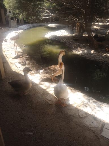 عکس موزه طبیعت و حیات وحش ایران