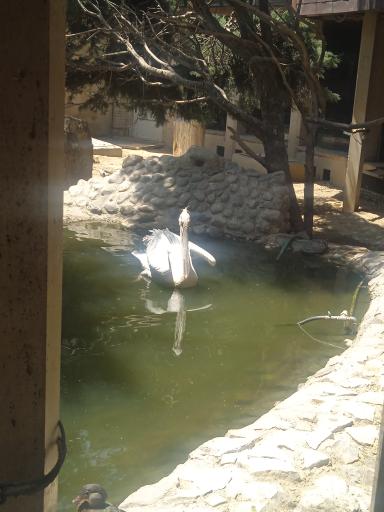 عکس موزه طبیعت و حیات وحش ایران