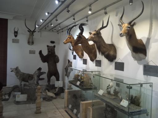 عکس موزه طبیعت و حیات وحش ایران