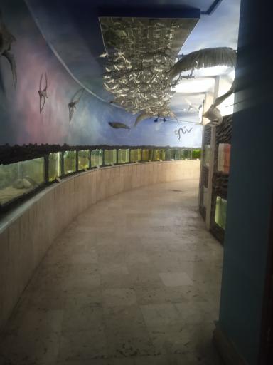 عکس موزه طبیعت و حیات وحش ایران