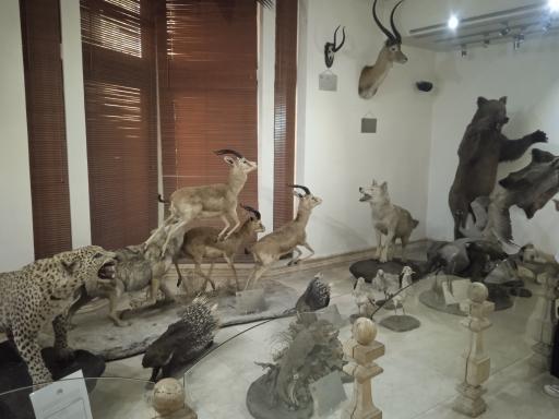 عکس موزه طبیعت و حیات وحش ایران