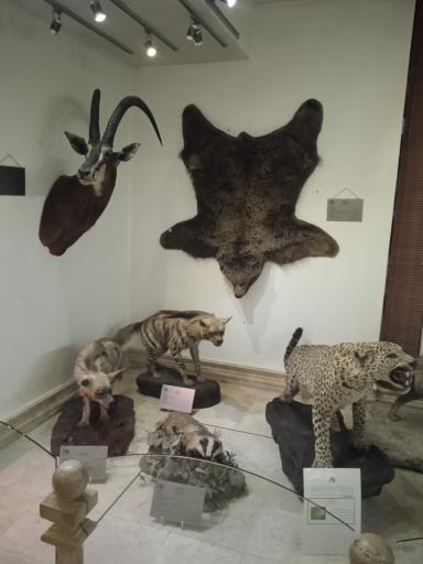 عکس موزه طبیعت و حیات وحش ایران