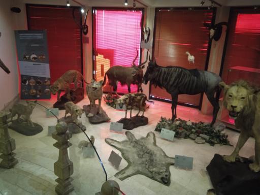 عکس موزه طبیعت و حیات وحش ایران