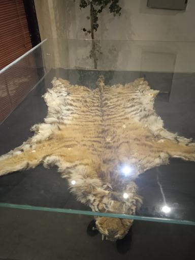 عکس موزه طبیعت و حیات وحش ایران