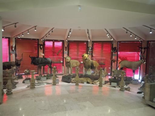 عکس موزه طبیعت و حیات وحش ایران