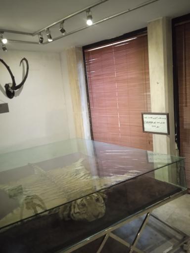 عکس موزه طبیعت و حیات وحش ایران