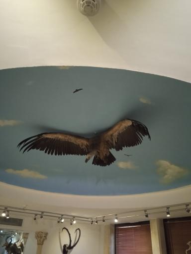 عکس موزه طبیعت و حیات وحش ایران