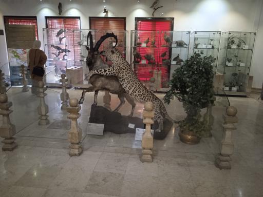 عکس موزه طبیعت و حیات وحش ایران
