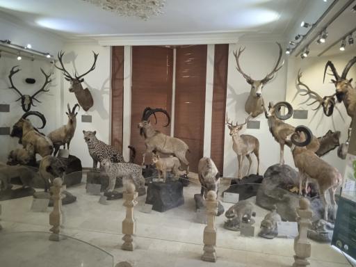 عکس موزه طبیعت و حیات وحش ایران