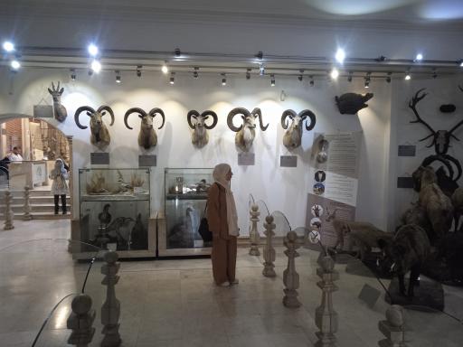 عکس موزه طبیعت و حیات وحش ایران