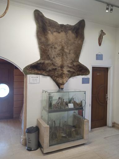 موزه طبیعت و حیات وحش ایران