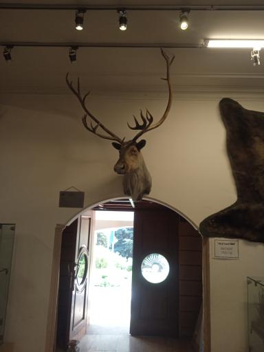 موزه طبیعت و حیات وحش ایران