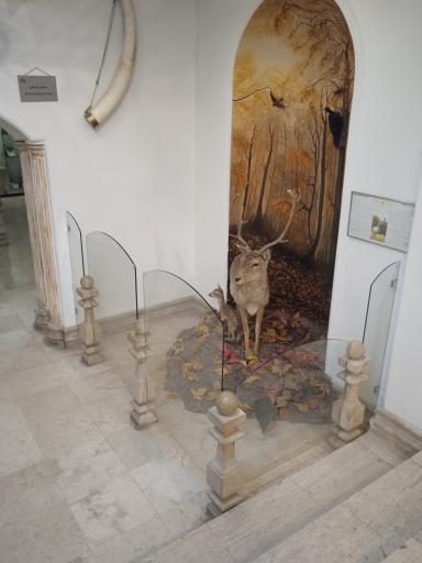 موزه طبیعت و حیات وحش ایران