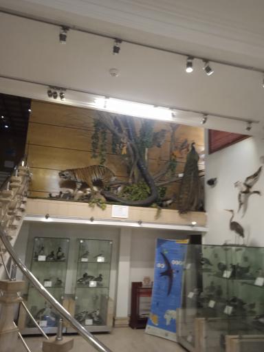 موزه طبیعت و حیات وحش ایران